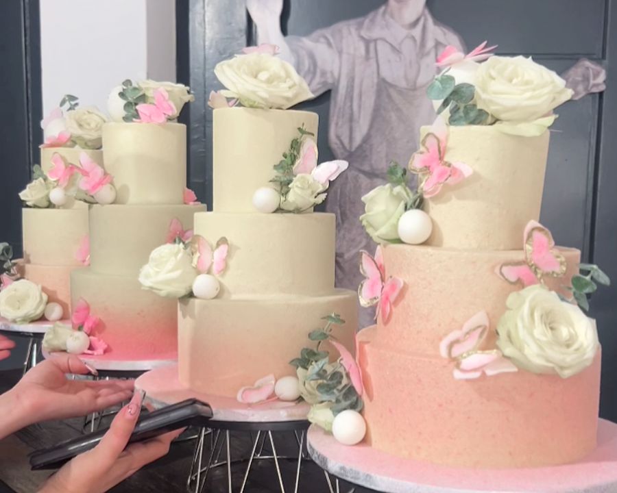 Gâteau papillons